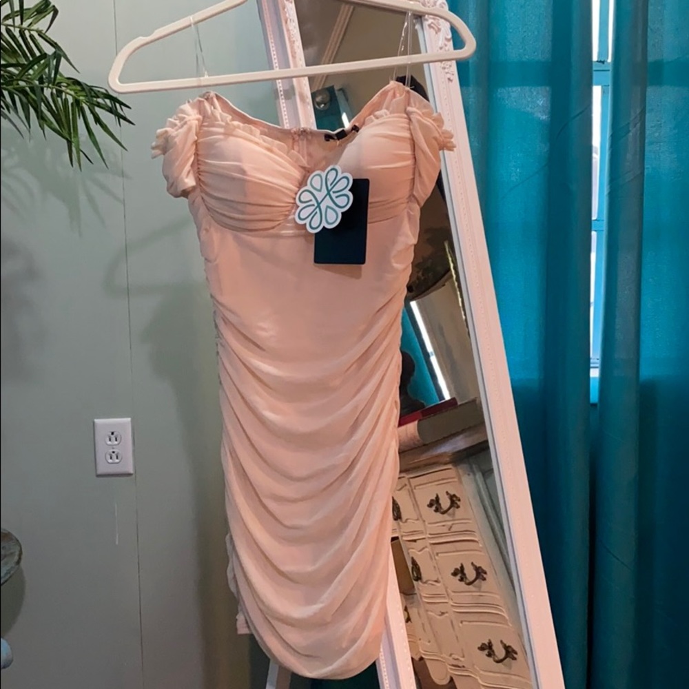 NWT Shop hopes dress